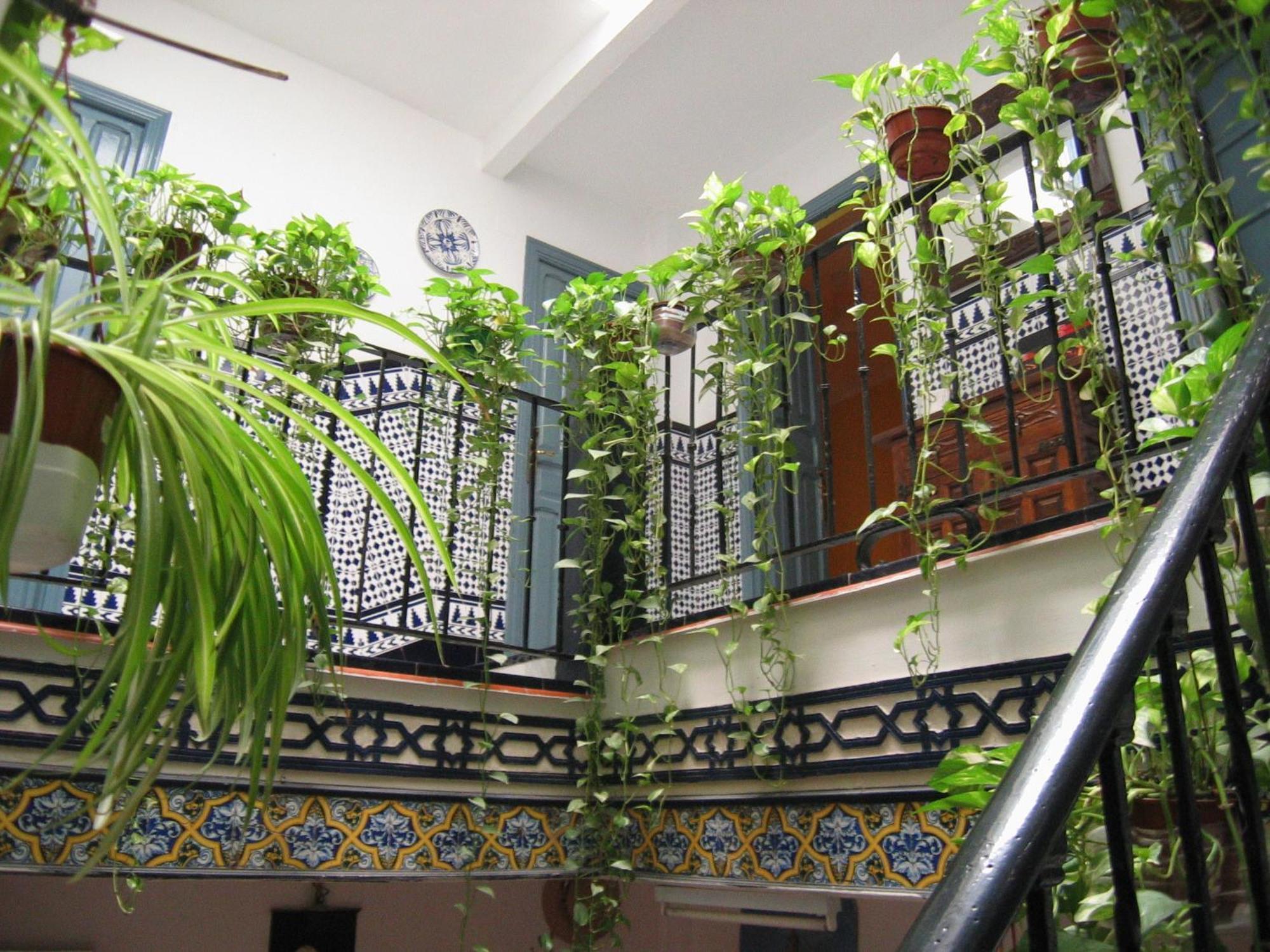 Pension La Montorena Sevilla Bagian luar foto